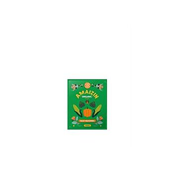Amaizin - Organic Taco Seasoning (30g)