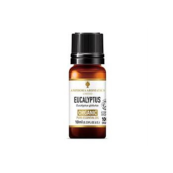 Amphora Aromatics - Eucalyptus Organic EO (10ml)