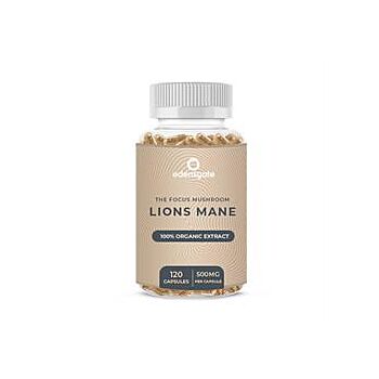 Lions Mane Extract Capsules (120 capsule)
