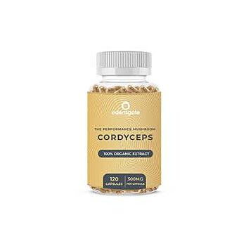 Cordyceps Extract Capsules (120 tablet)