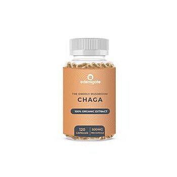 Chaga Mushroom Extract Capsule (120vegicaps)