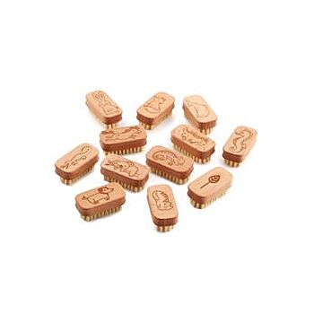 Ecoliving - Children's Nail Brush 12pack (1 box)