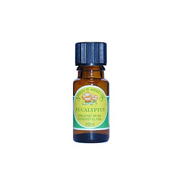 Natural By Nature Oils - Eucalyptus Essential Oil Organ (10ml)