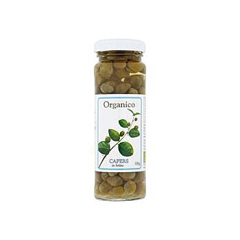 Organico - Organic Capers in Brine (100g)
