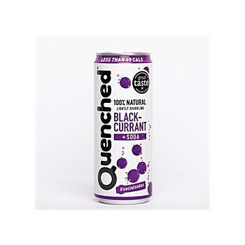 Blackcurrant & Soda Drink (330ml)