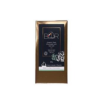 Dark Seasalt Organic Choc Bar (80g)