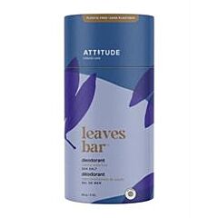 Deodorant - Sea Salt (85g)