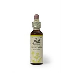 Bach Original Flower Mustard (20ml)