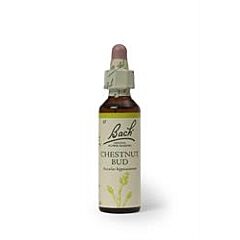 Bach Original Chestnut Bud (20ml)