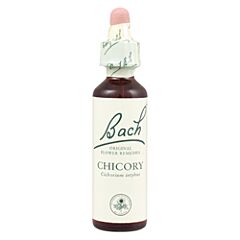 Chicory (20ml)
