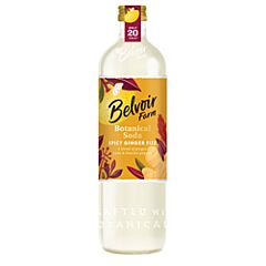 Spicy Ginger Fizz (500ml)