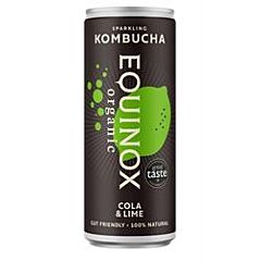 Cola & Lime Kombucha (250ml)