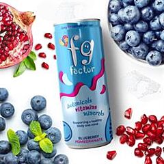 Blueberry & Pomegranate Drink (250ml)