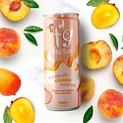 Peach & Mango Drink (250ml)