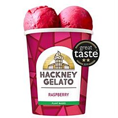 Raspberry Sorbetto (460ml)