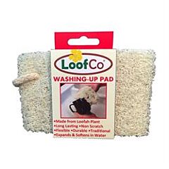 Washing-Up Pad Single (1pads)
