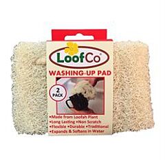 Washing-Up Pad 2-Pack (2pads)