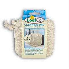 Cleaning Pad 2-pack (2-Packpads)