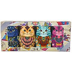 KIT-Tins Gift Pack (144g)