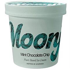 Mint Chocolate Chip Ice Cream (460ml)