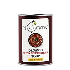 Spicy Mixed Beans Soup (400g)