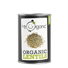 Green Lentils Tin (400g)