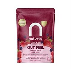 Gut Feel Mixed Berry (240g)