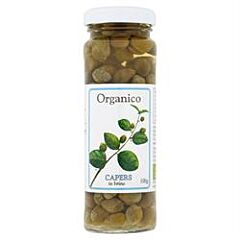 Organic Capers in Brine (100g)
