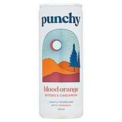 Blood Orange Bitters & Cardam (250ml)