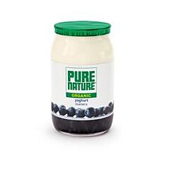 Blueberry Yoghurt (150g)