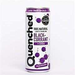 Blackcurrant & Soda Drink (330ml)