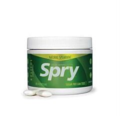 Spry Spearmint Xylito 100 Gum (120g)