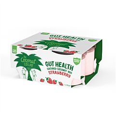 Strawberry Gut Health Kefir (4 x 100g)