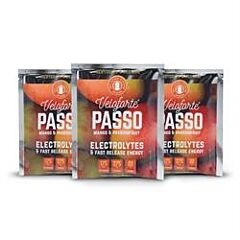 Passo Hydration Mix (27.5g)