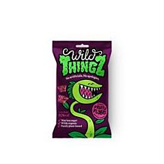 Fruity Flyers Sweets (25g)